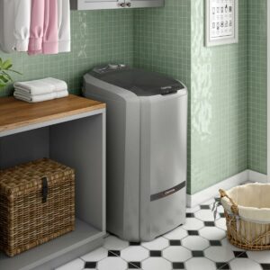 2 Colormaq Maquina de Lavar Roupa Semi Automatica Tanquinho 16kg LCS16 Prata 220V